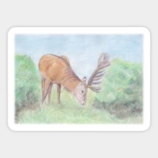 Deer Sticker